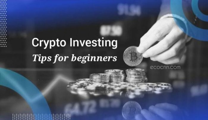 Tips sukses investasi kripto jangka panjang bagi investor pemula