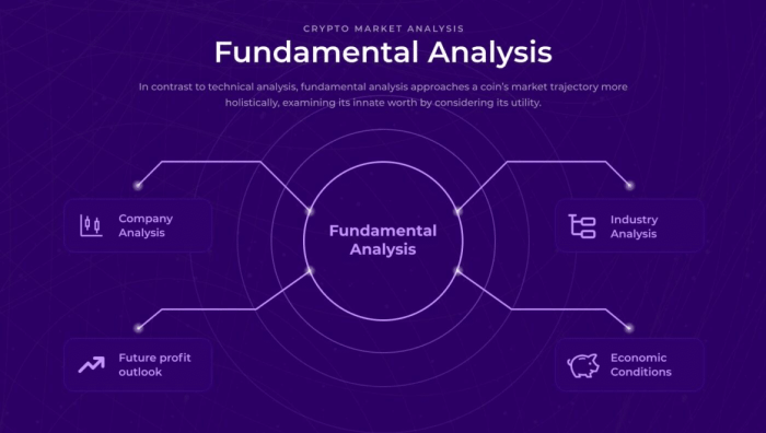 Analisis fundamental kripto untuk investasi jangka panjang dan profit maksimal