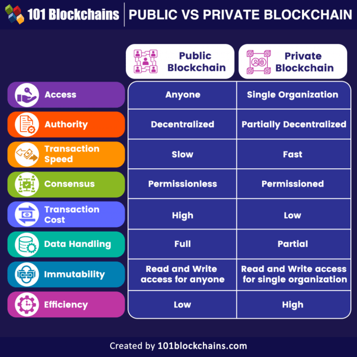 Apa perbedaan utama blockchain public dan private?