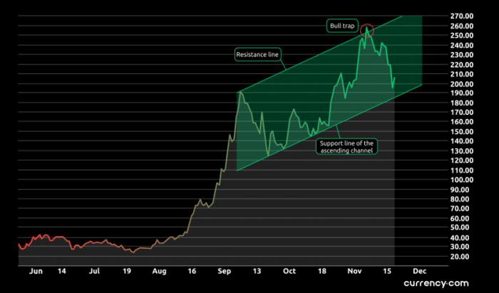 Analisa fundamental dan teknikal harga koin solana terbaru