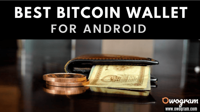 Aplikasi wallet bitcoin android terbaik dengan biaya transaksi rendah