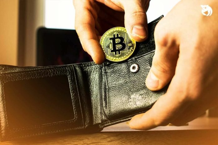 Wallet bitcoin terbaik dan paling aman untuk pemula di Indonesia