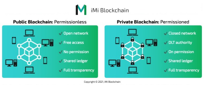 Apa perbedaan utama blockchain public dan private?