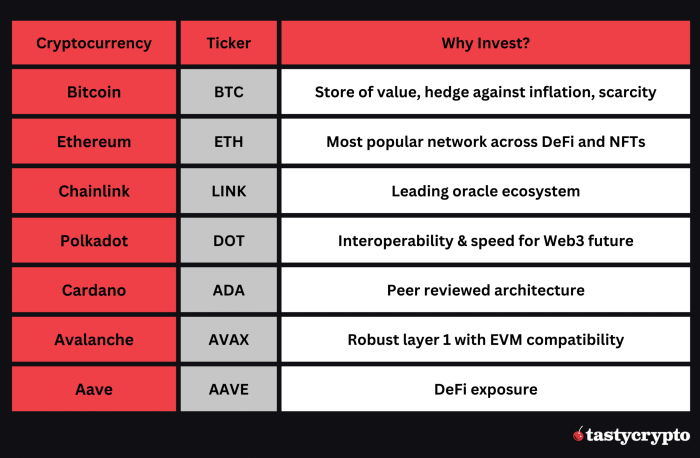 Perbandingan platform investasi kripto terbaik untuk jangka panjang