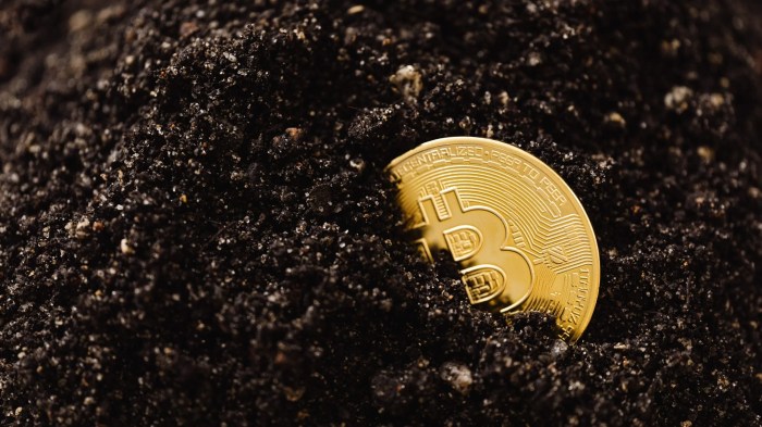 Keuntungan dan kerugian investasi kripto jangka panjang yang perlu diketahui