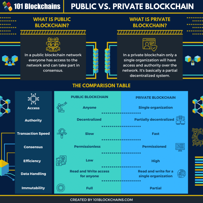 Blockchain public private vs comparison direct newbies guides