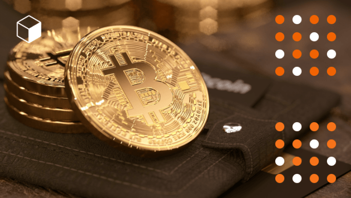 Tips memilih wallet bitcoin yang mendukung berbagai jenis cryptocurrency