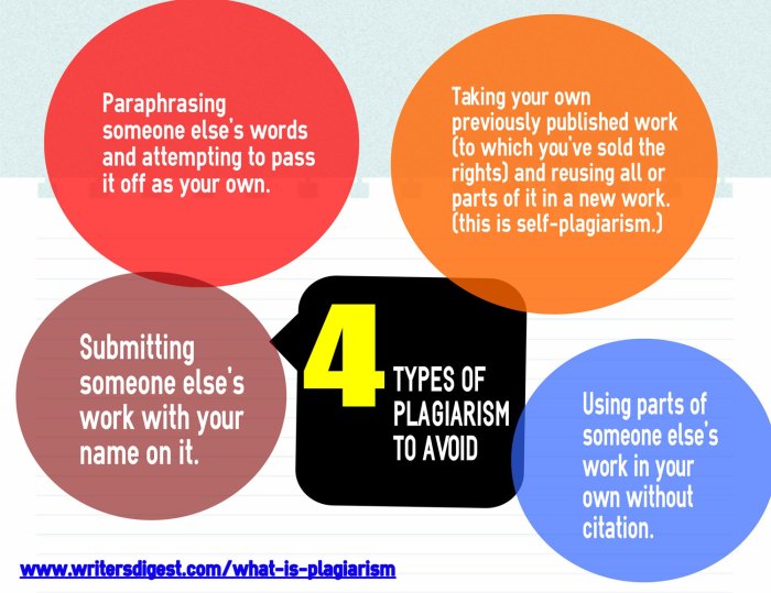 Plagiarism types thirteen studyguide guide visual